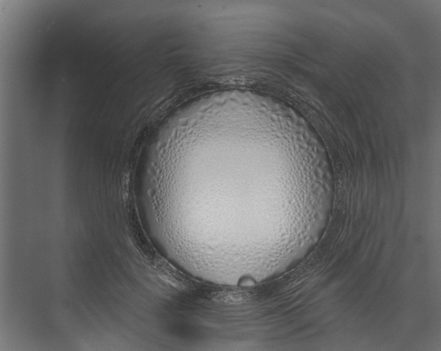 X0000073930652200608251617