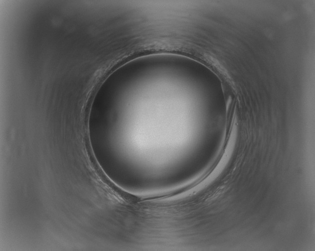 X0000073930673200608251616