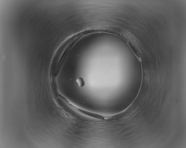 X0000073930676200608251616