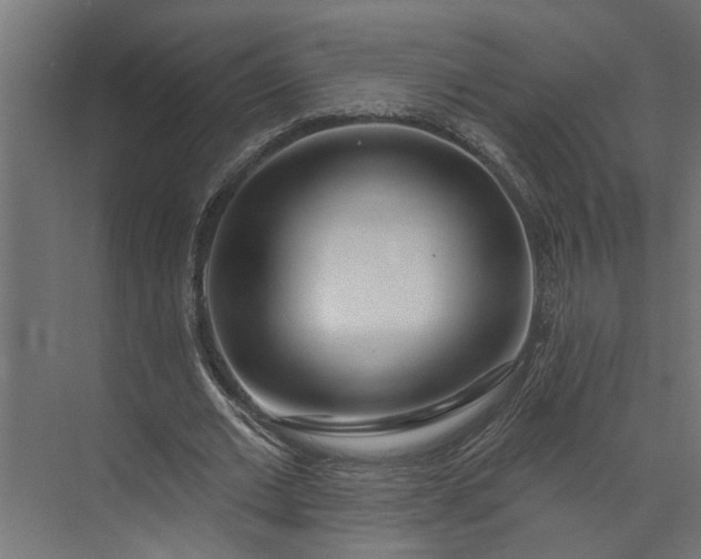 X0000073930677200608251616