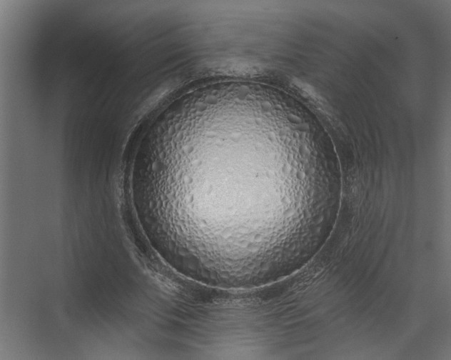 X0000073930679200608251616