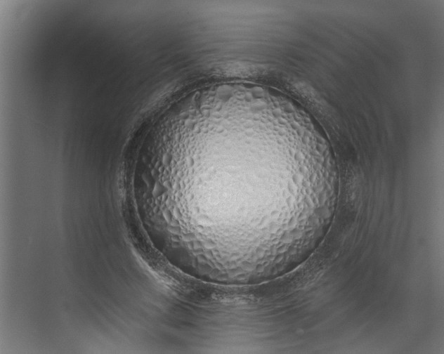 X0000073930683200608251616