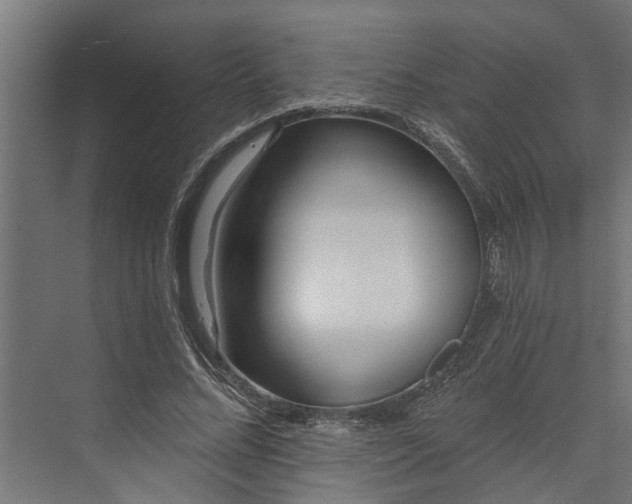 X0000073930684200608251616