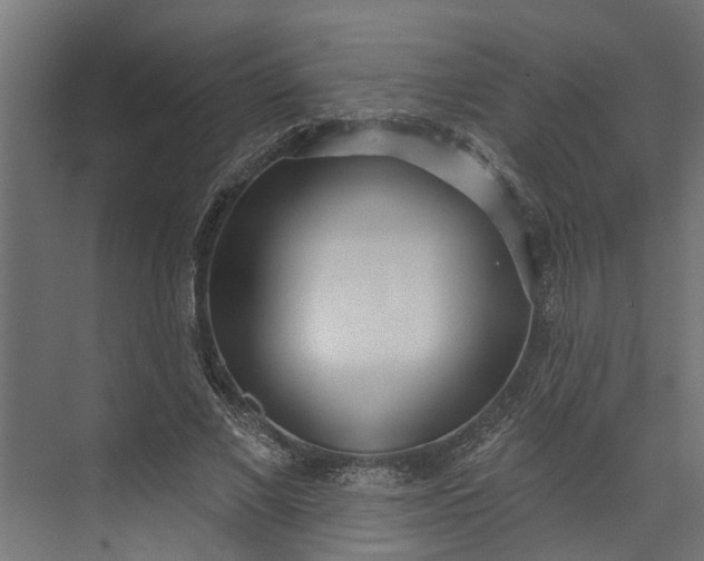 X0000073930685200608251616