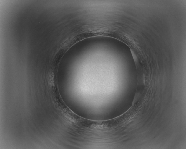 X0000073930689200608251616