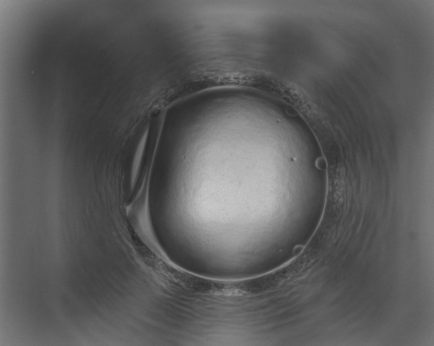 X0000073930695200608251616