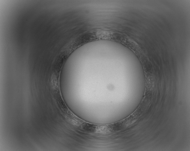 X0000073930705200608251615