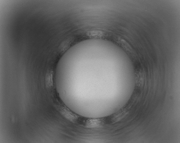 X0000073930717200608251615