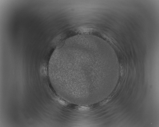 X0000073930718200608251615