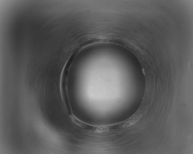 X0000073930720200608251615