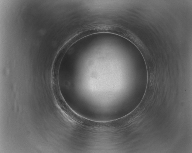 X0000073930722200608251614