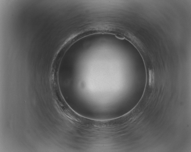 X0000073930723200608251614