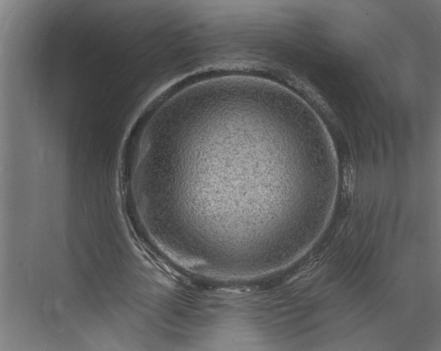 X0000073930724200608251614