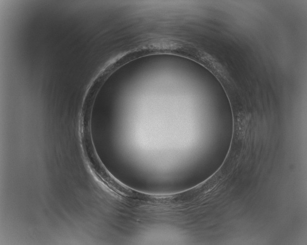 X0000073930726200608251615