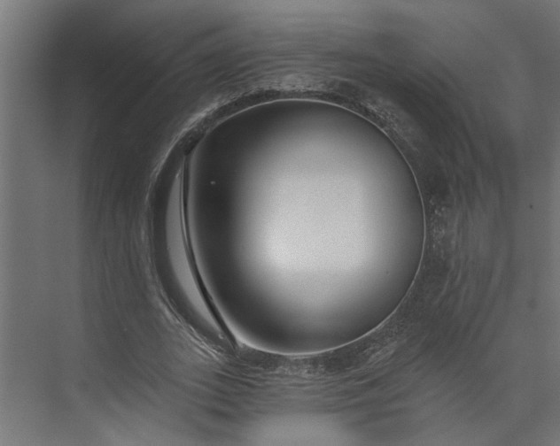 X0000073930727200608251615