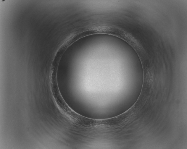 X0000073930730200608251615