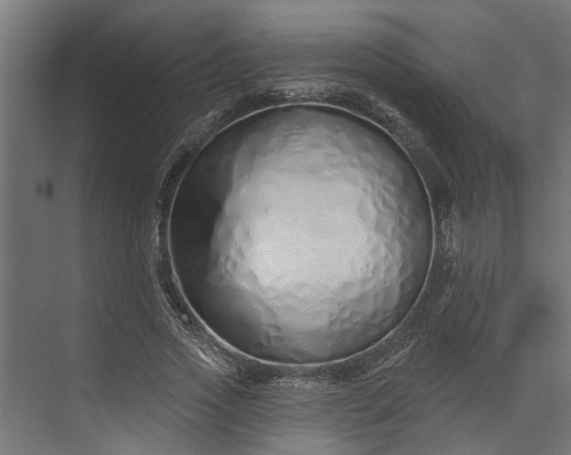 X0000073930733200608251615