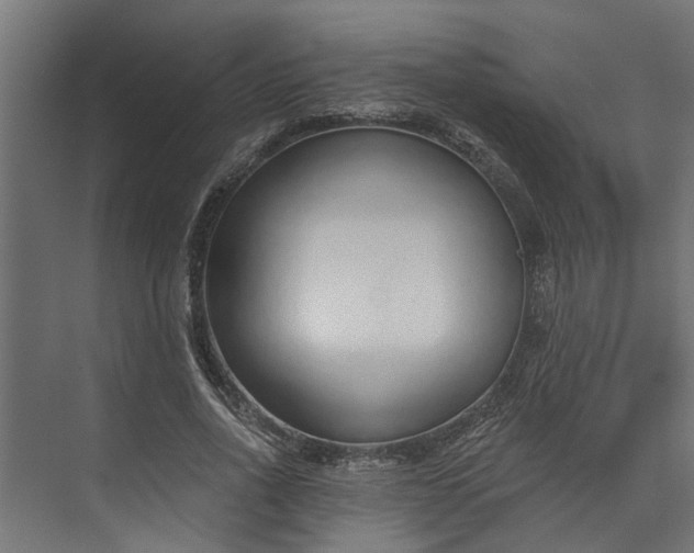 X0000073930734200608251615