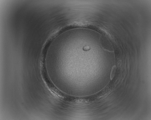 X0000073930736200608251615