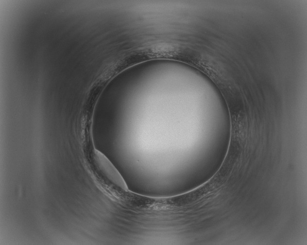 X0000073930742200608251615