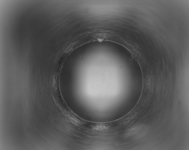 X0000073930759200608251615