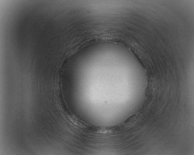 X0000073930760200608251615