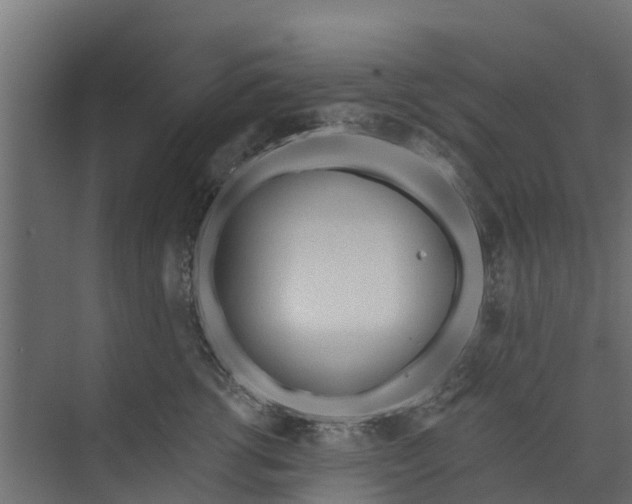 X0000073930762200608251615