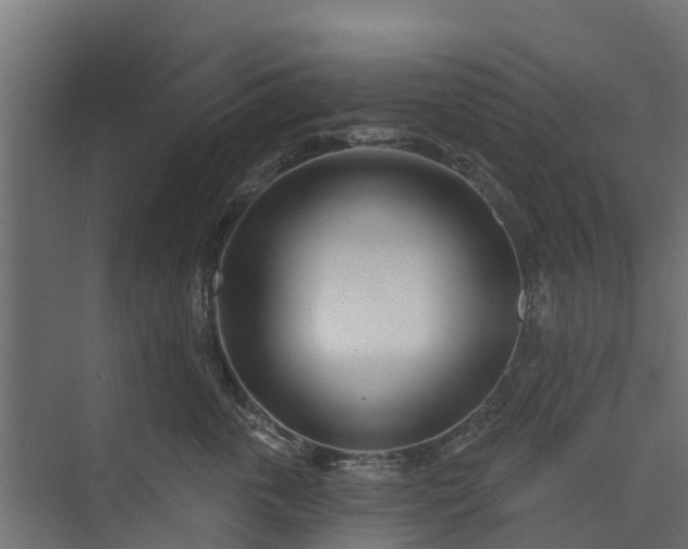 X0000073930763200608251615