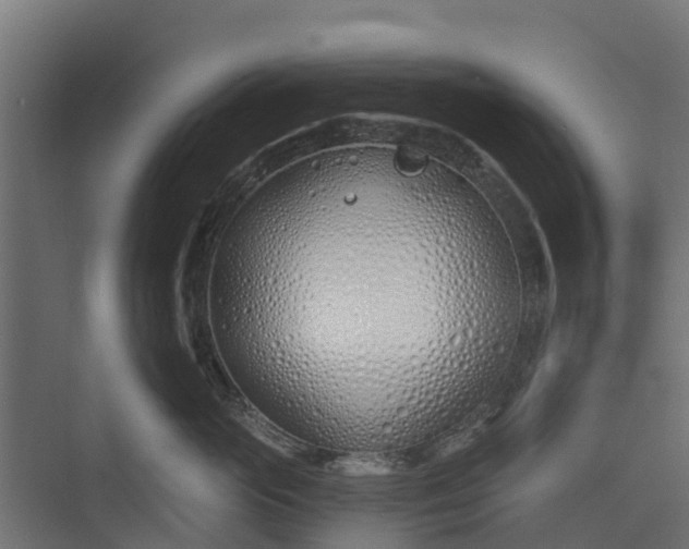 X0000073930765200608251615