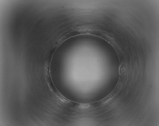 X0000073930767200608251615