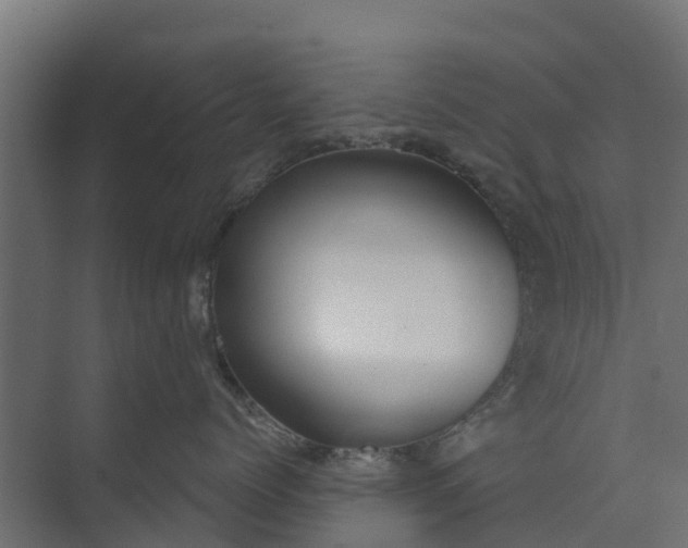 X0000073930768200608251615