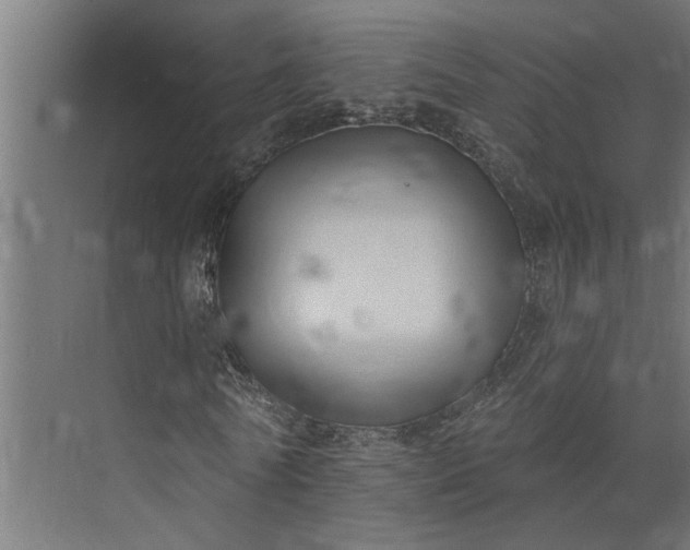 X0000073930770200608251614