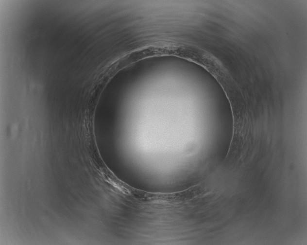 X0000073930773200608251614