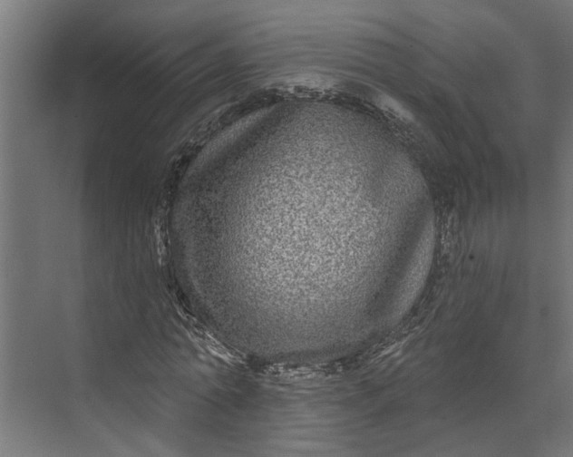 X0000073930774200608251614