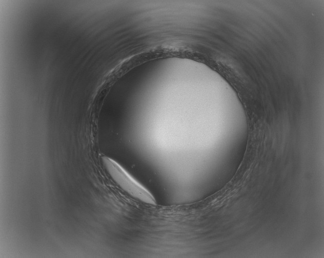 X0000073930776200608251614