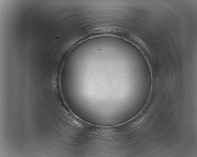 X0000073930778200608251614