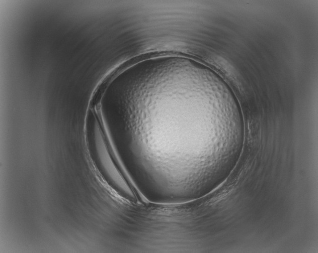 X0000073930780200608251614