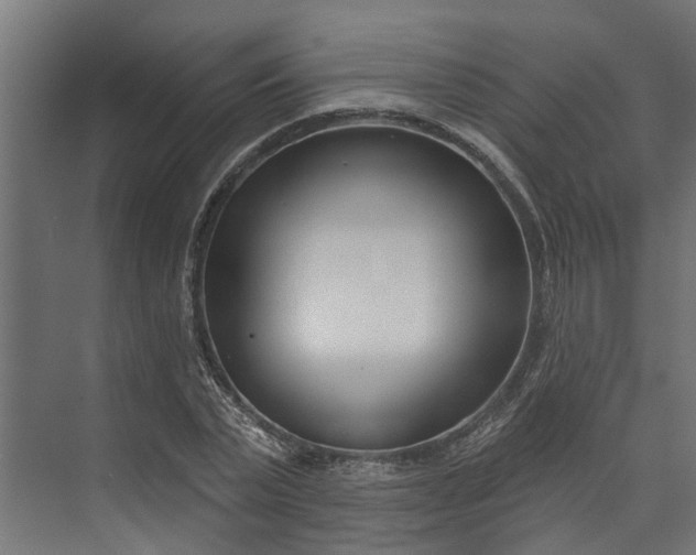 X0000073930783200608251614