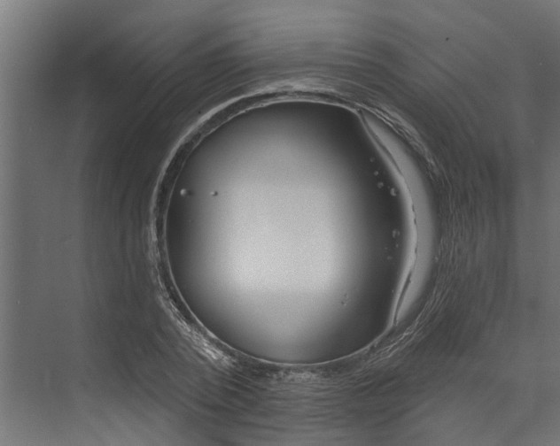 X0000073930784200608251614