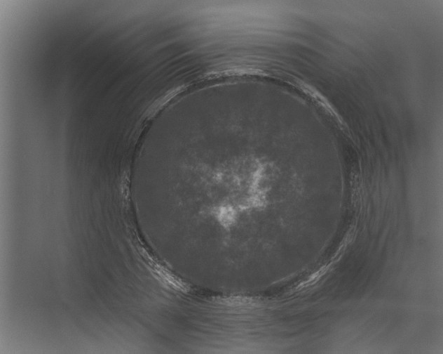 X0000073930785200608251614