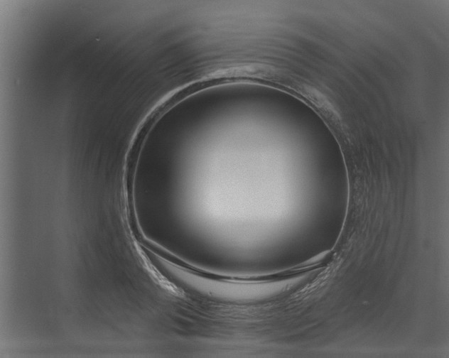 X0000073930792200608251614