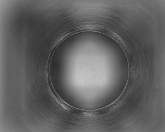 X0000073930794200608251614