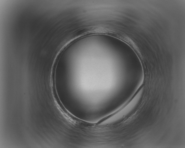 X0000073930795200608251614