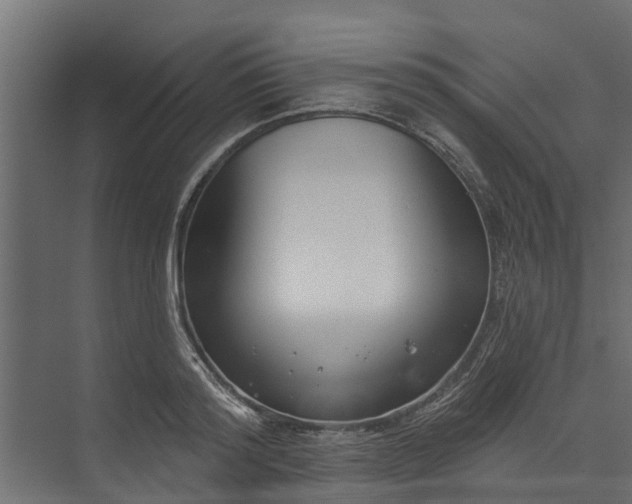 X0000073930796200608251614