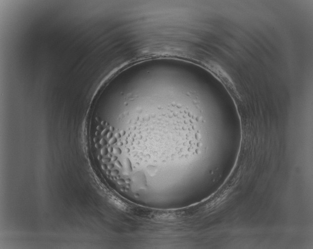 X0000073930798200608251614