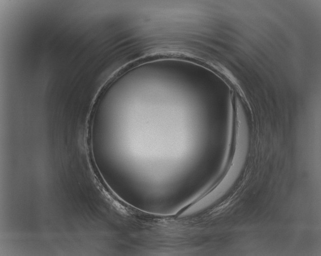 X0000073930799200608251614