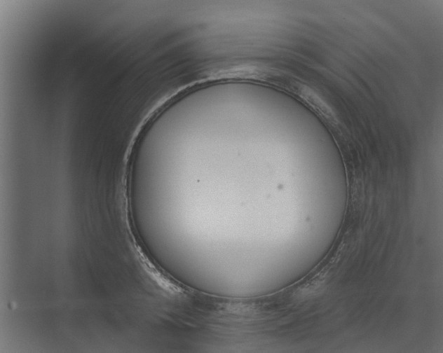 X0000073930800200608251614