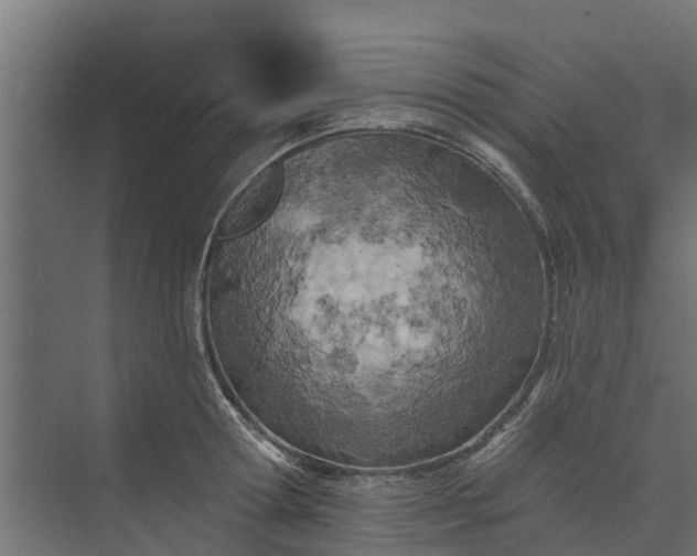 X0000073930802200608251614