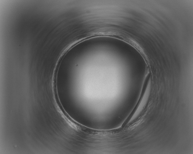 X0000073930803200608251614