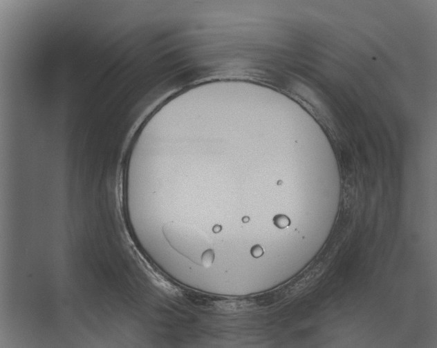 X0000073930804200608251614